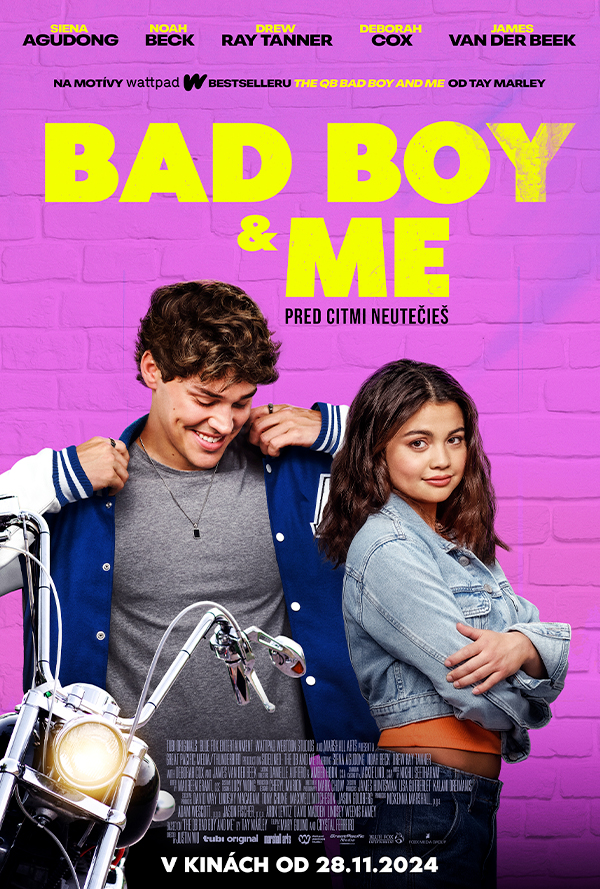 BAD BOY & ME poster