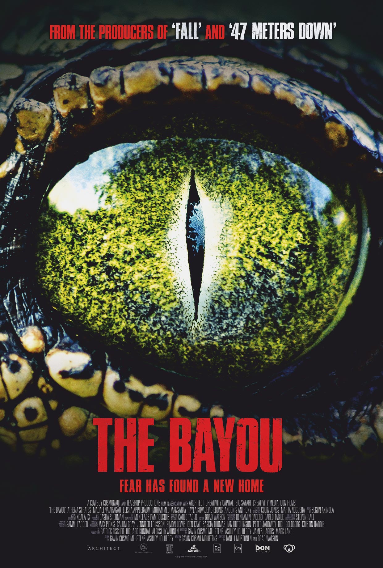 BAYOU, THE poster